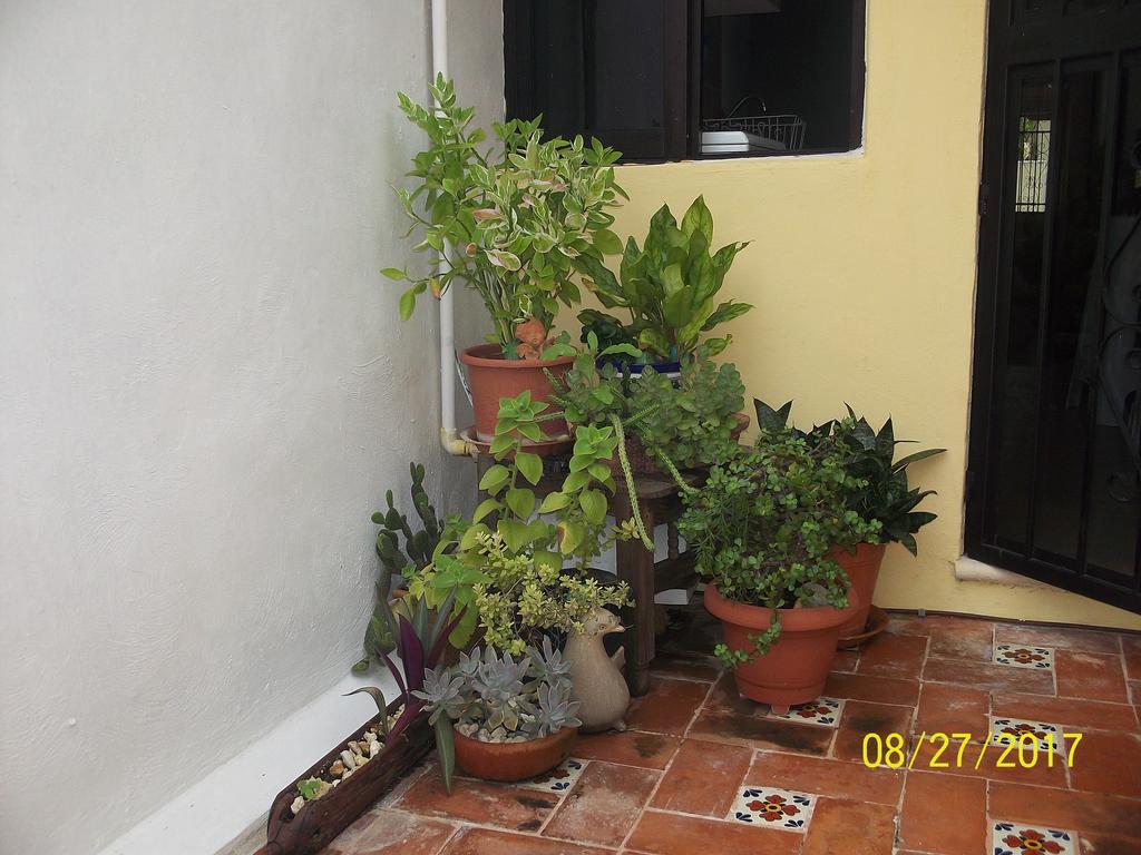 La Casa Del Chac Villa Mérida Eksteriør bilde
